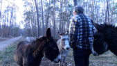 thumbnail of medium Tierische Geschichten: Esel im Landschafts- und Naturschutz 